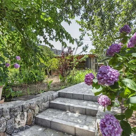 Villa Sa Vinya De Son Bou